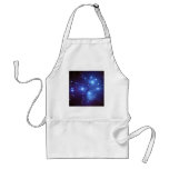 Pleiades Open Star Cluster Seven Sisters in Taurus aprons