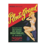 Plenti Grand Postcard