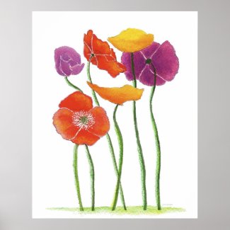 Plentiful Poppies Poster print