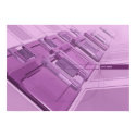 pleonasm posters by allent pleonasm posters