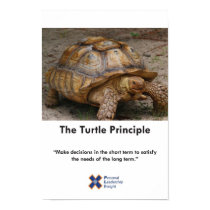 PLI Principle - Turtle posters by rhettdean PLI Principle - Turtle posters