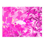 Plinka Post Card