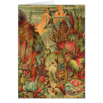 Pliocene Plants Antique Print cards