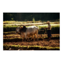 Ploughing posters by SabineSt Ploughing posters
