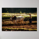 Ploughing posters