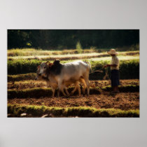 Ploughing Print