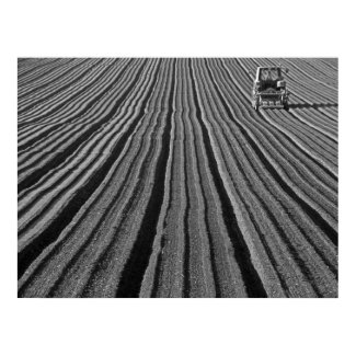 ploughman print