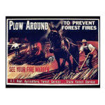 Plow Around To Prevent Forest Fires Post Card