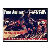 Plow Around To Prevent Forest Fires Post Card