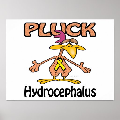 Pluck Hydrocephalus Awareness Design Poster
