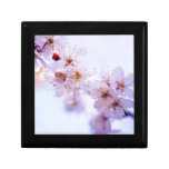 Plum Blossom gift boxes