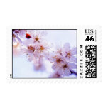 Plum Blossom Postage stamps