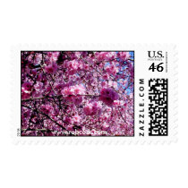 Plum Blossom Stamp