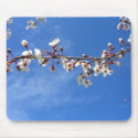 Plum Blossoms, Blue Sky Mousepad