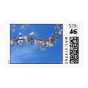 Plum Blossoms, Blue Sky Stamps by wingedturtle Plum Blossoms, Blue Sky Stamps