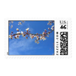 Plum Blossoms, Blue Sky Stamps