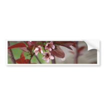 plum blossoms bumper stickers