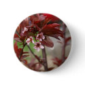 plum blossoms buttons by bahastings83 plum blossoms buttons