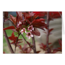 plum blossoms card