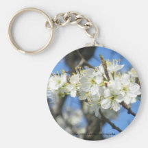 Plum Blossoms March 26, 2009 Keychains