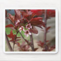 plum blossoms mousepads by bahastings83 plum blossoms mousepads