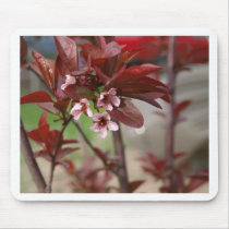 plum blossoms mousepads