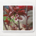 plum blossoms mouse pad
