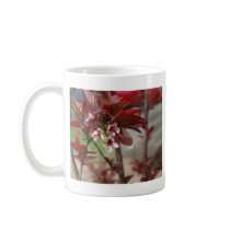 plum blossoms mugs