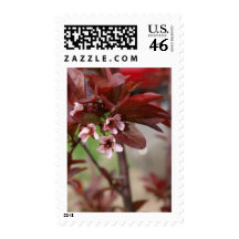 plum blossoms stamp
