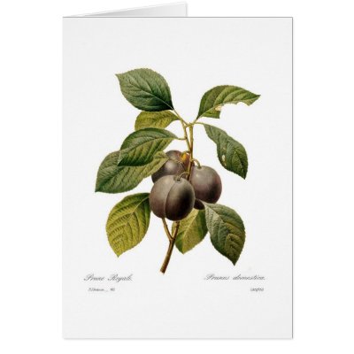 Plum Card