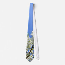 Plum Flowers ~ tie