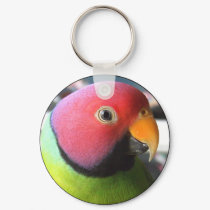 Plum Headed Parakeet keychains by MenagerieMayhem Plum Headed Parakeet keychains