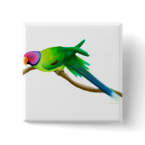 Plum Headed Parakeet Pin buttons by twopurringcats Plum Headed Parakeet Pin buttons
