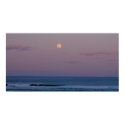 Plum Island Moonrise posters