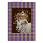 plum island sheep on plaid greeting cards