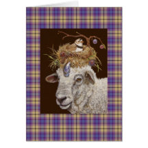 plum island sheep on plaid greeting cards