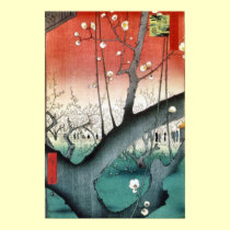 Plum posters
