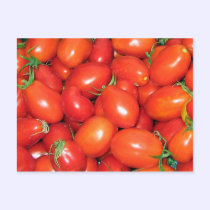 Plum Tomatoes postcards