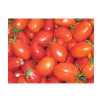 Plum Tomatoes Postcards