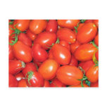 Plum Tomatoes postcards