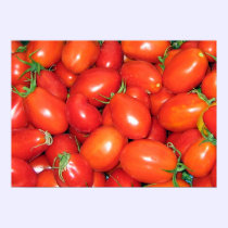 Plum Tomatoes posters