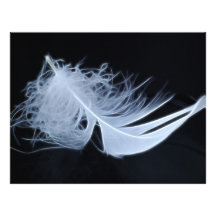 Pluma blanca - angelical por la naturaleza membretes personalizados