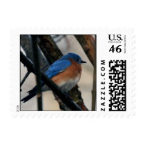 Plumage postage