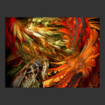 Plumage posters