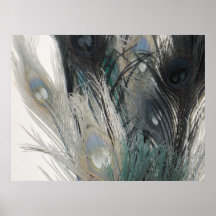 Plumas Posters