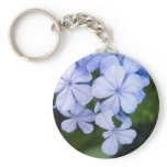 Plumbago Keychains
