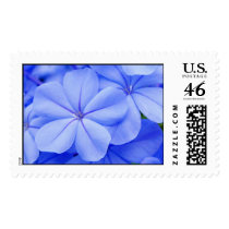 Plumbago postage by kudbegud Plumbago postage