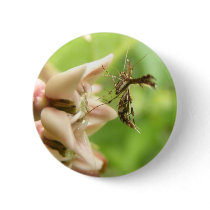 Plume Moth ~ button by Andy2302 Plume Moth ~ button