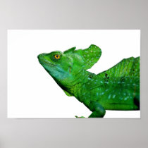 Plumed Basilisk Poster