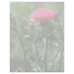 Plumed Thistle (Cirsium Japonicom) flowers Letterhead Template